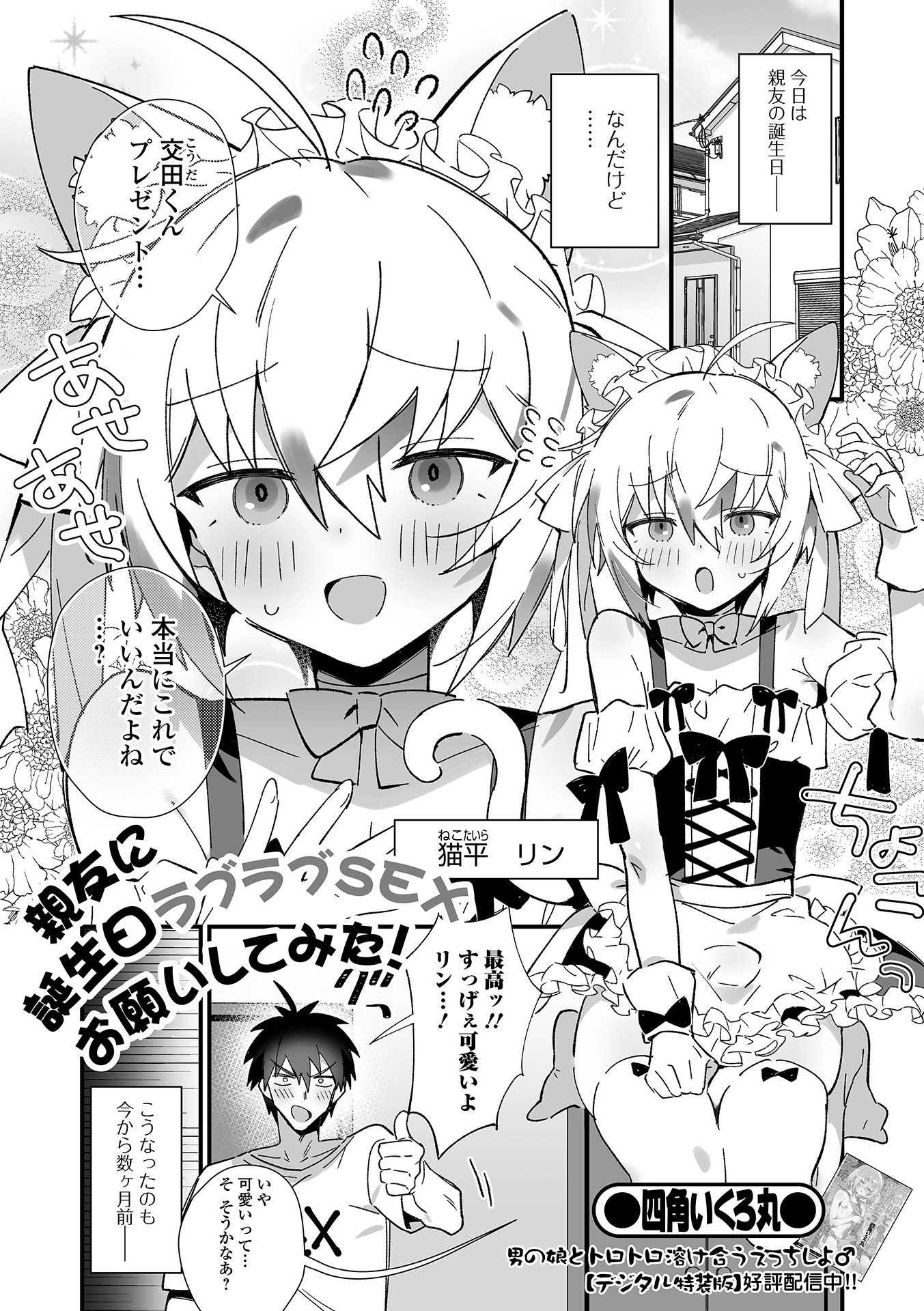 MG image 003