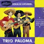 [Slika: 107830652_jpg1.jpeg]