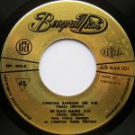 [Slika: 110187002_jpg4.jpg]