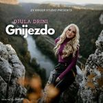 Djula Drini - Singlovi 82030177_Gnijezdo