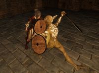 [PolkaStudio] ノーティカの女騎士 [RJ01361874]