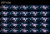 Free Image Hosting