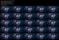 Free Image Hosting