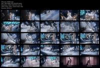 Free Image Hosting