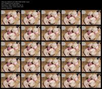 Free Image Hosting