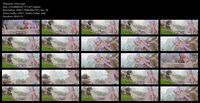 Free Image Hosting