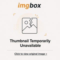 [Image: 127540331_0169.jpg]