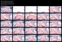 Free Image Hosting