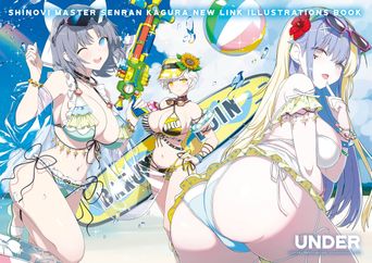 シノビマスター 閃乱カグラ NEW LINK ILLUSTRATIONS BOOK【UNDER】