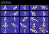 Free Image Hosting