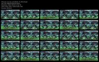 Free Image Hosting
