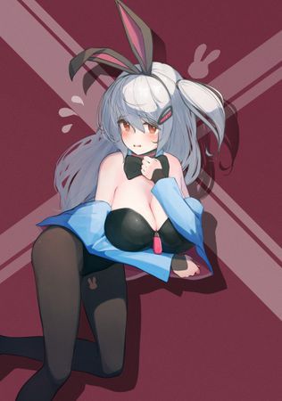 [えっくす・らびっと(x-Rabbit)] Live2D　アルプスH